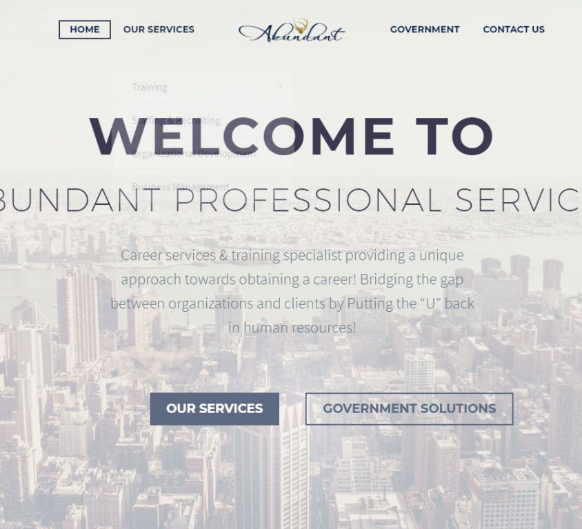 Abundant Professional Services